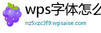 wps字体怎么下载到u盘中去了呢图片不显示了